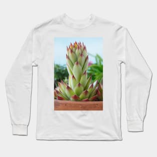 Sempervivum  'Bernstein'  Houseleek Long Sleeve T-Shirt